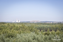 fot. Piotr Podsiadły