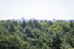 fot. Piotr Podsiadły